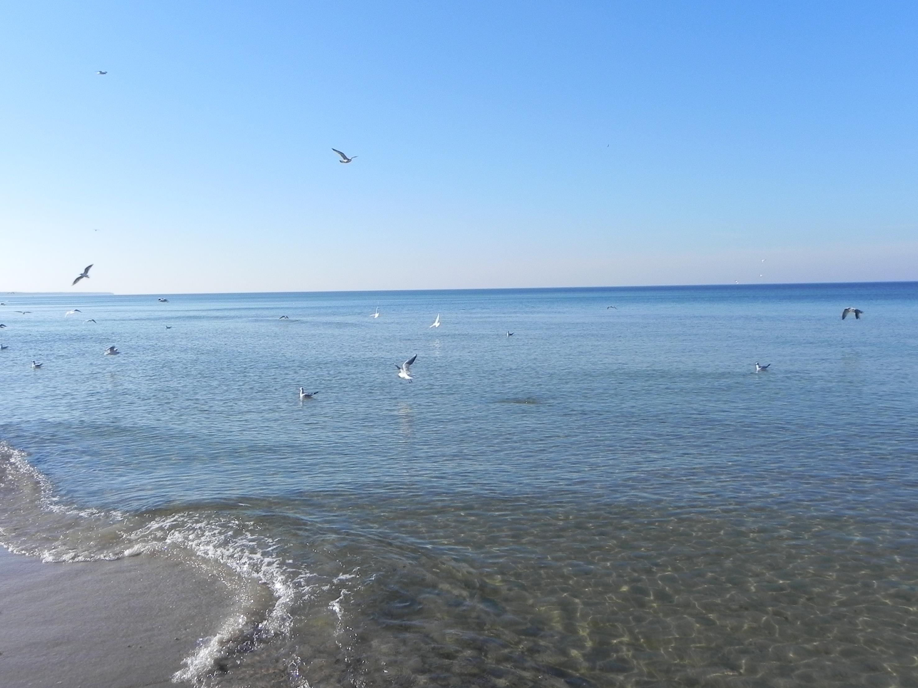 grecja-albania 2018 1269 (Copy).JPG