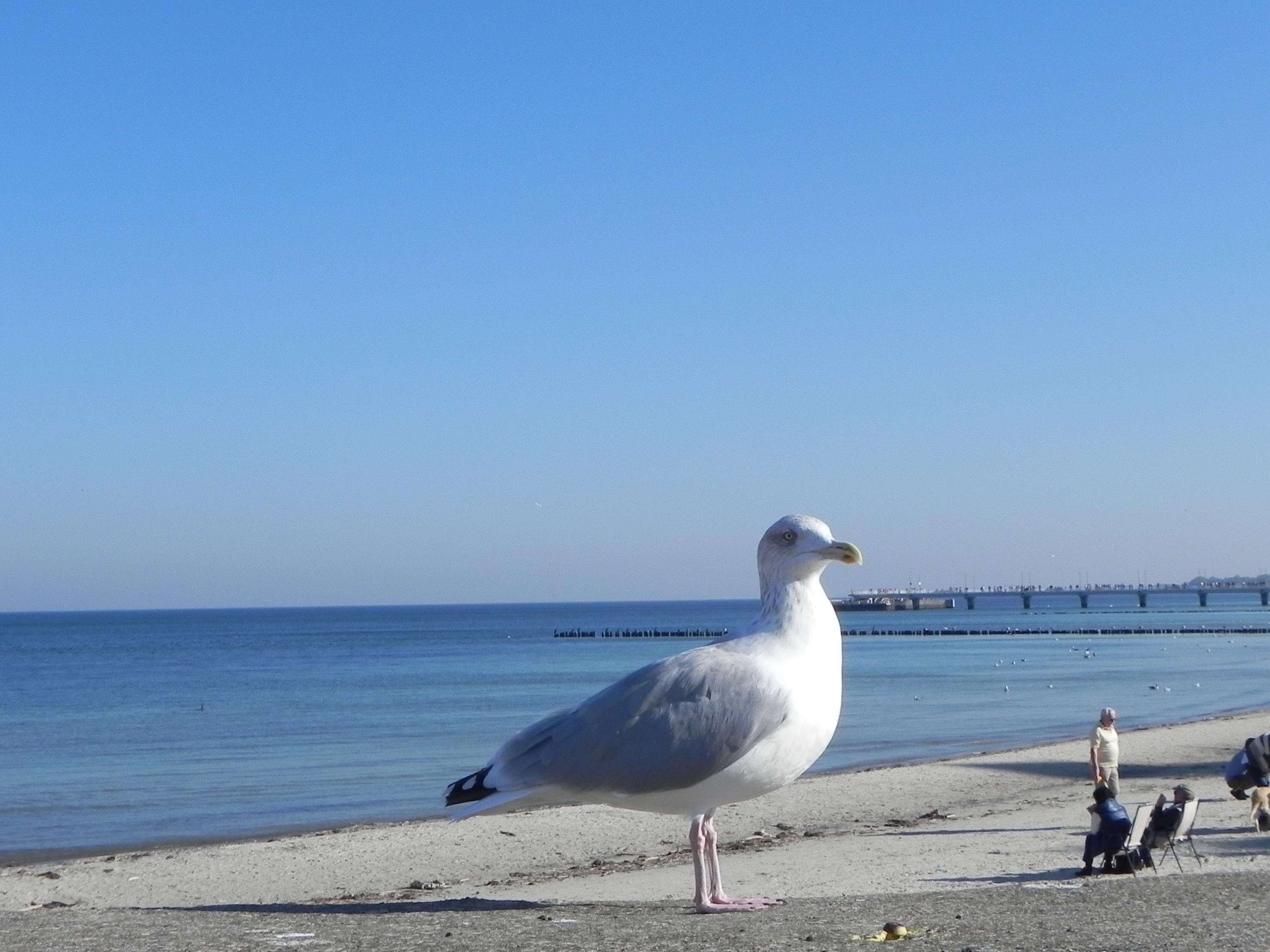grecja-albania 2018 1420 (Copy).JPG