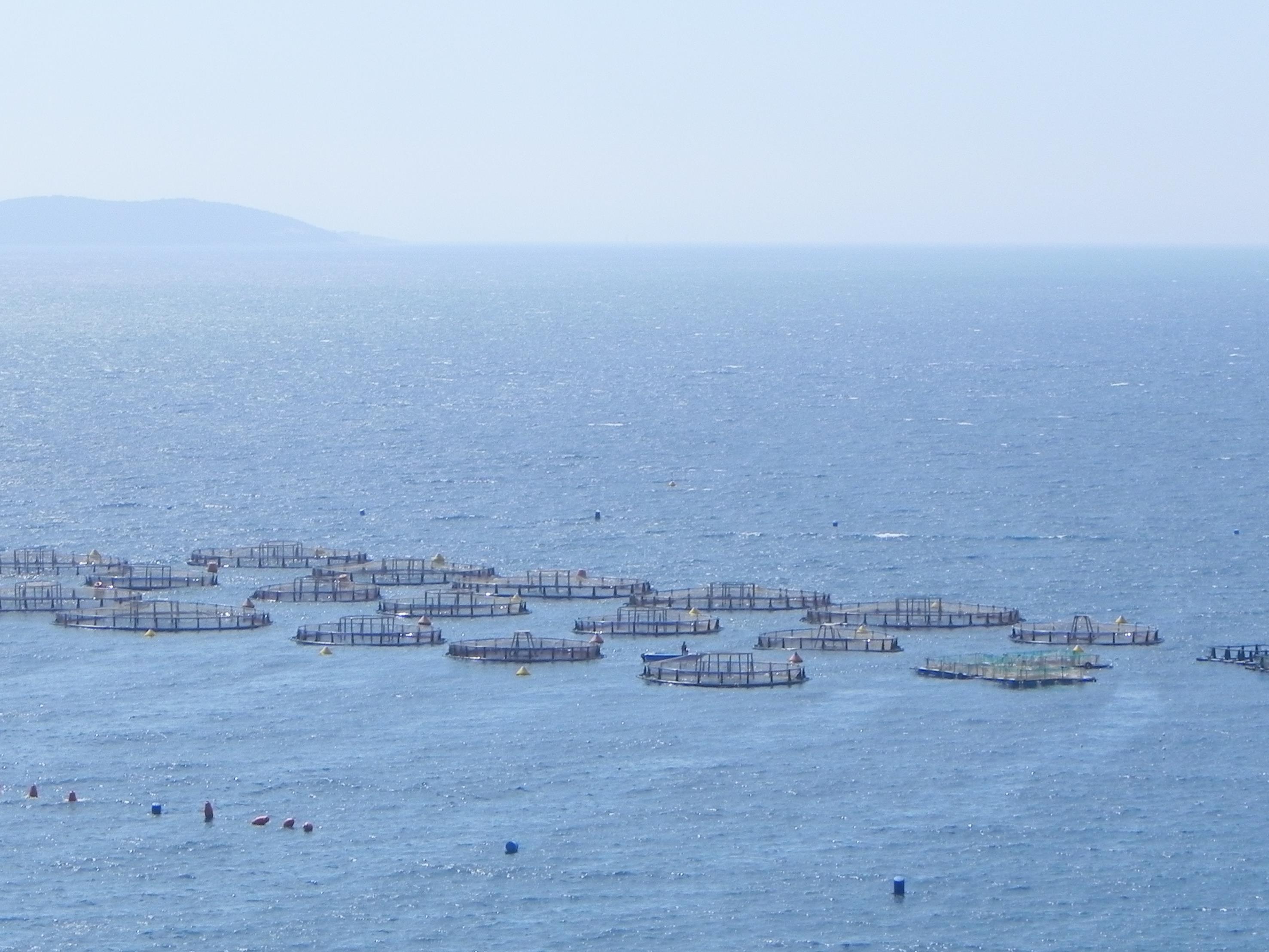 grecja-albania 2018 1073 (Copy) (2).JPG