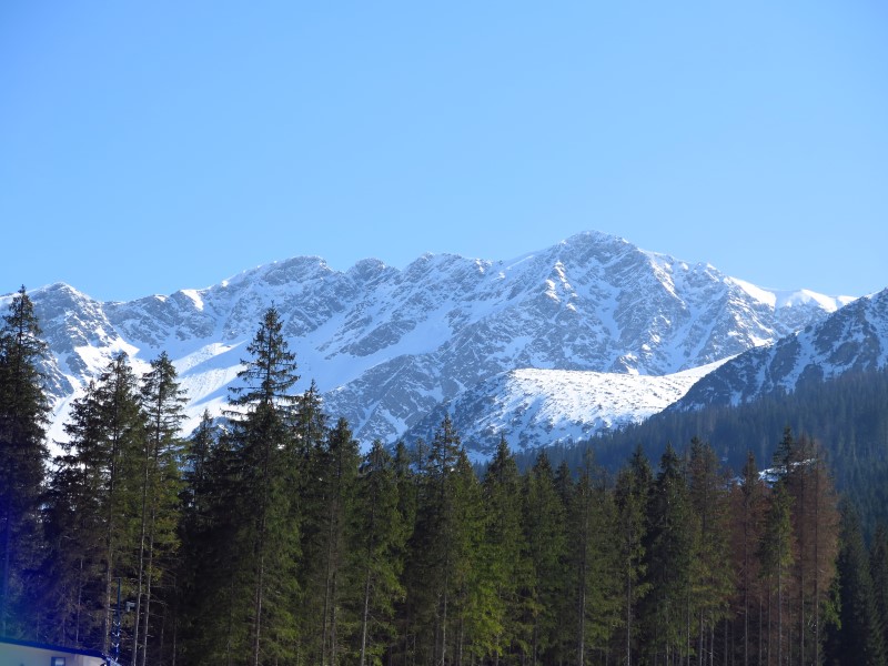 2017-03-26-13h52m56 (Custom).jpg