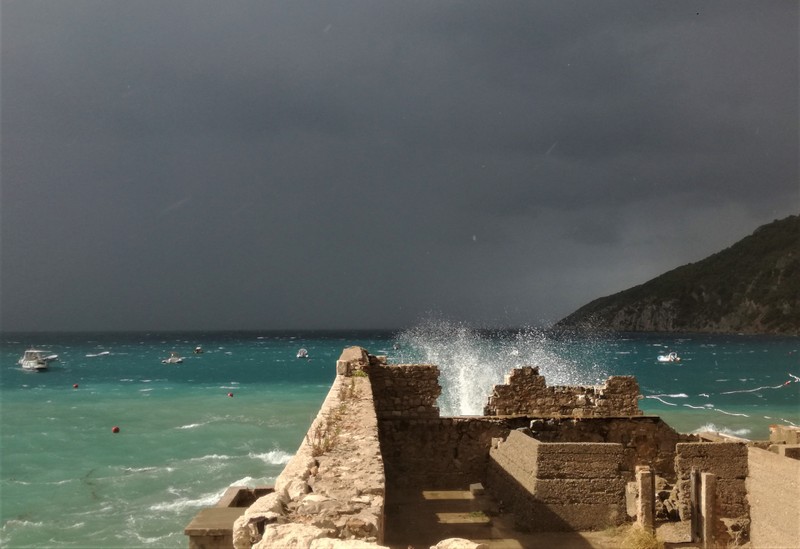 IMG_20200926_105205 (1).jpg