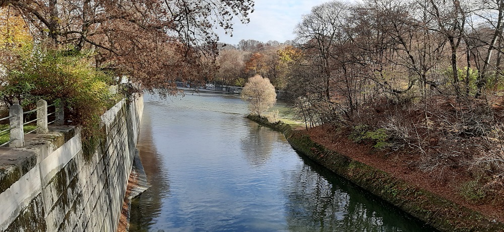 20201113_111146.jpg