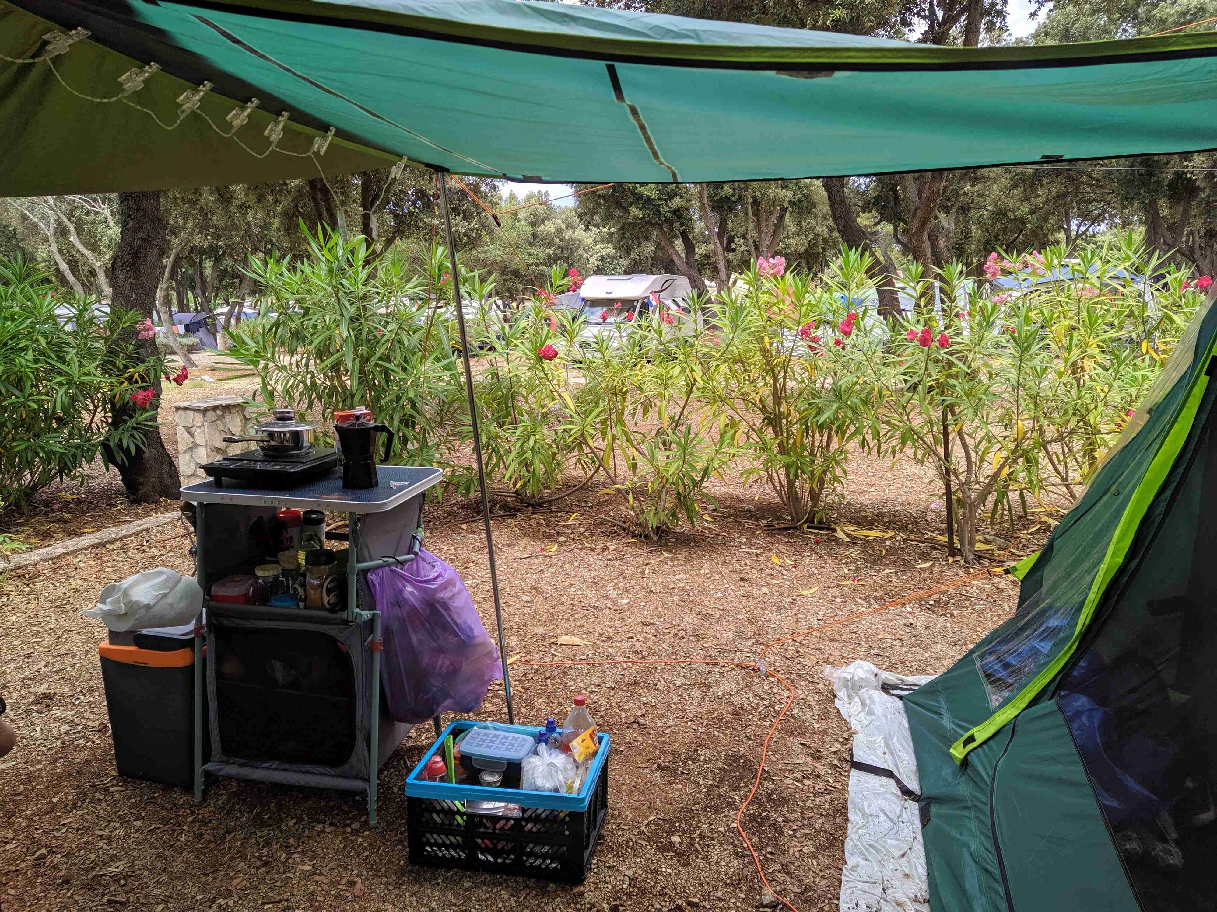 zzz namiot kuchnia.jpg