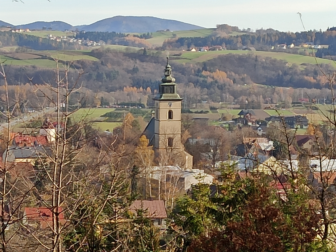IMG_20201119_114230.jpg