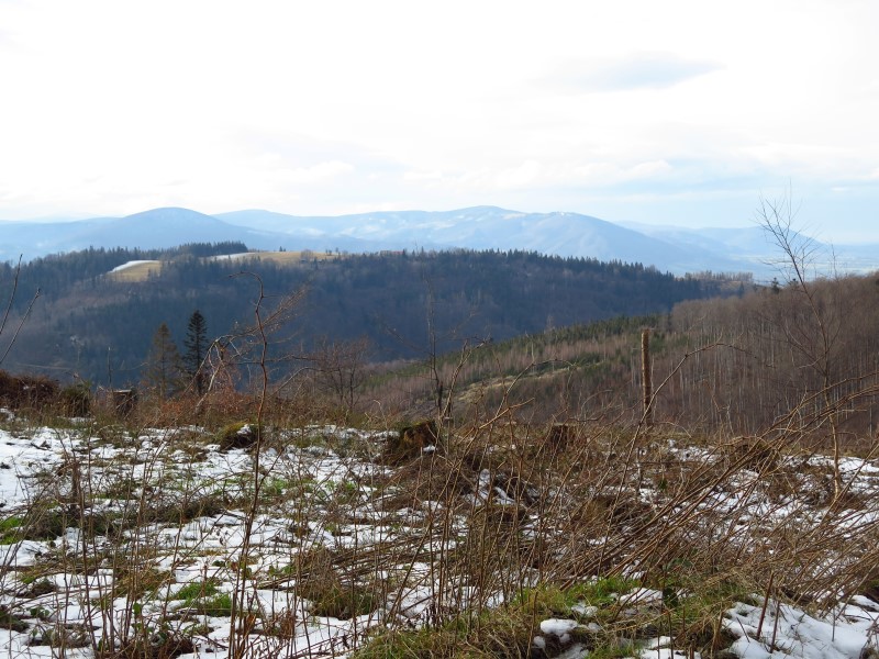 2021-01-02-14h13m59 (Custom).JPG