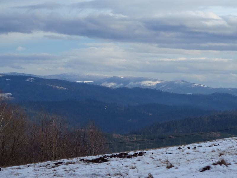 2021-01-02-14h25m55 (Custom).JPG