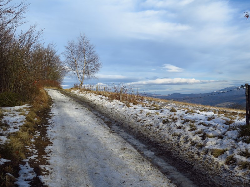 2021-01-02-14h33m05 (Custom).JPG