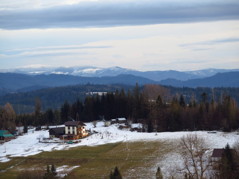 2021-01-02-15h53m19 (Custom).JPG