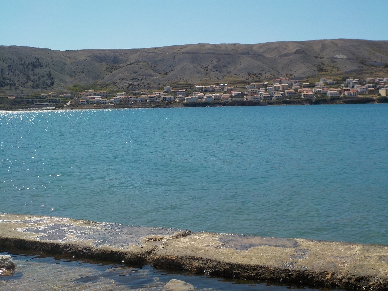 pierwsze zachwyty / 13.JPG 13.JPG