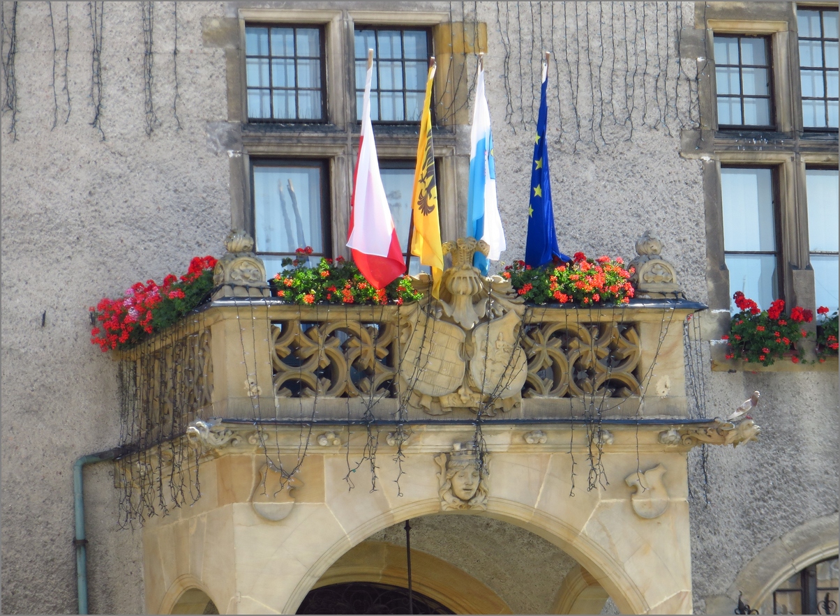 4-IMG_7159-2016 (3).JPG