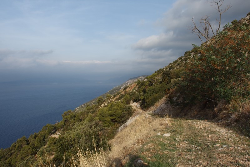 P9160025 (Kopiowanie).JPG