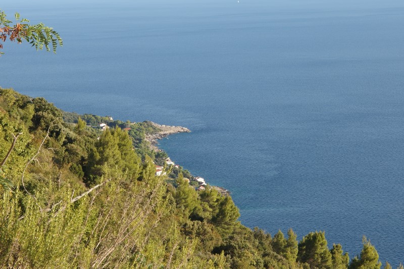 P9211118 (Kopiowanie).JPG