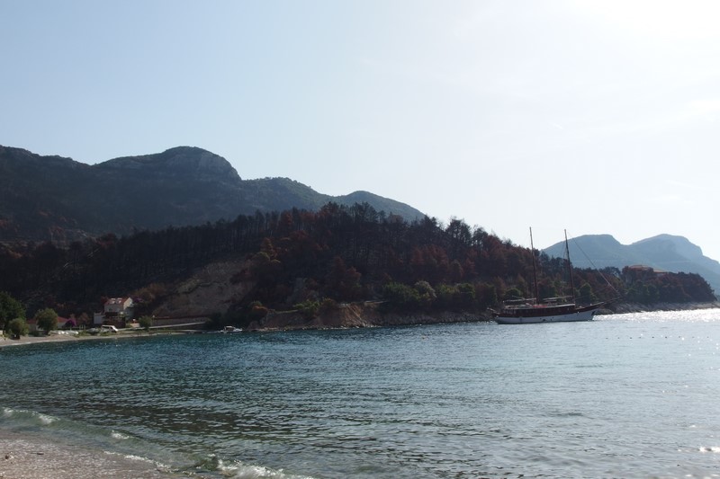 P9160061 (Kopiowanie).JPG