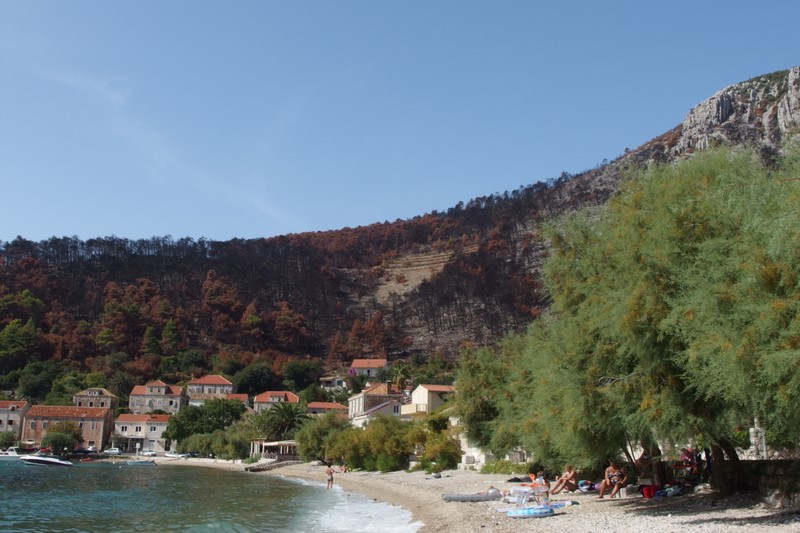 P9160086 (Kopiowanie).JPG