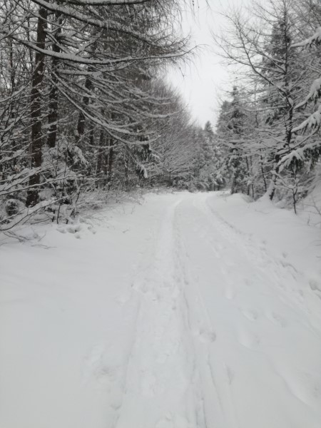 2021-01-16-11h48m56 (Custom).jpg