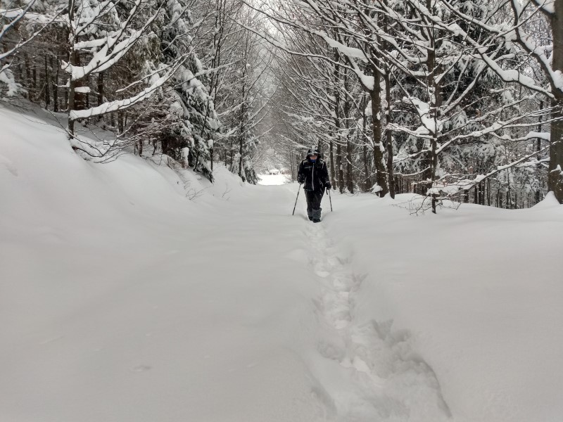 2021-01-16-12h04m05 (Custom).jpg