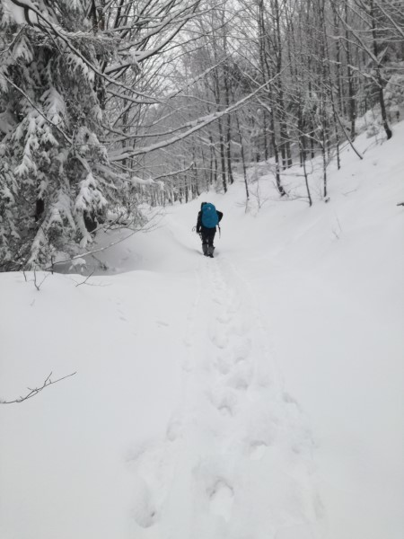 2021-01-16-12h17m42 (Custom).jpg