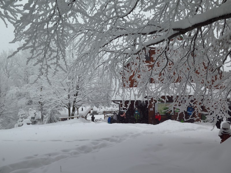 2021-01-16-13h57m13 (Custom).JPG