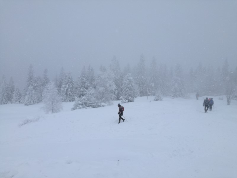 2021-01-16-14h09m18 (Custom).jpg