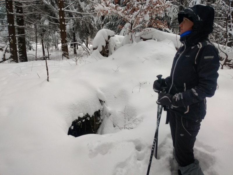 2021-01-16-15h15m34 (Custom).jpg