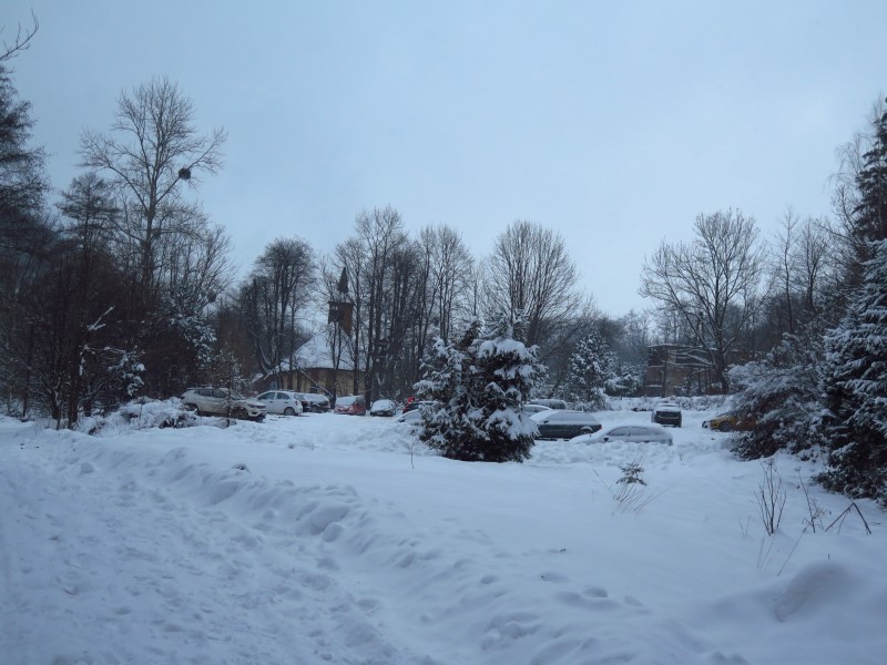 2021-01-16-15h43m38 (Custom).JPG