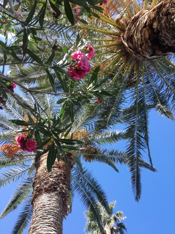 IMG_20200905_103122 (1).jpg