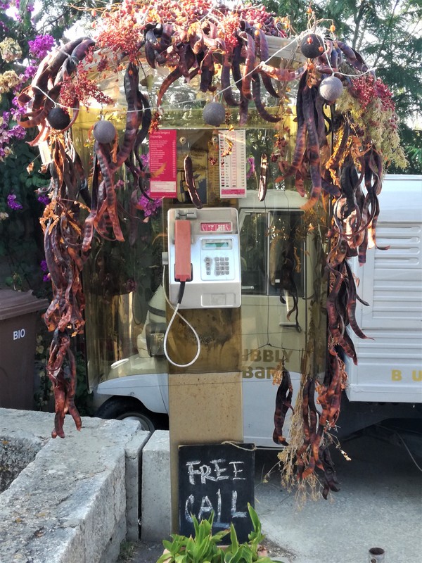 IMG_20200919_172524 (1).jpg