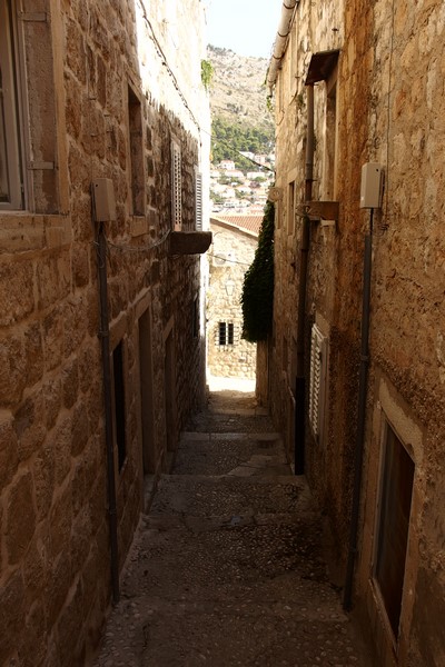 P9170246 (Kopiowanie).JPG