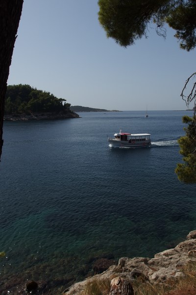 P9170347 (Kopiowanie).JPG