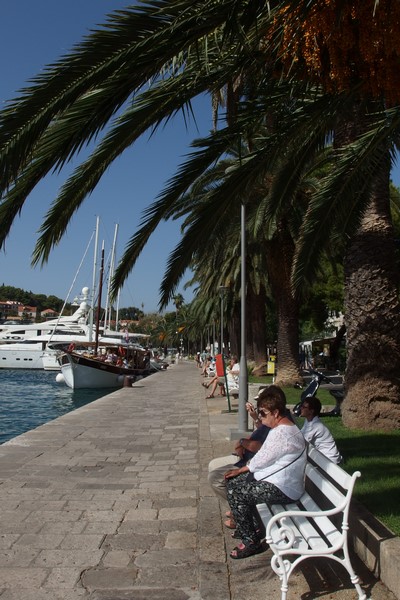 P9170353 (Kopiowanie).JPG