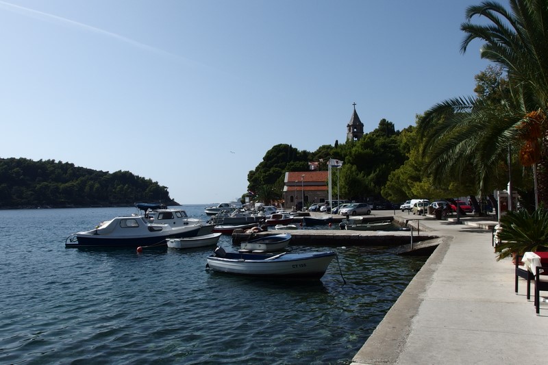 P9170357 (Kopiowanie).JPG