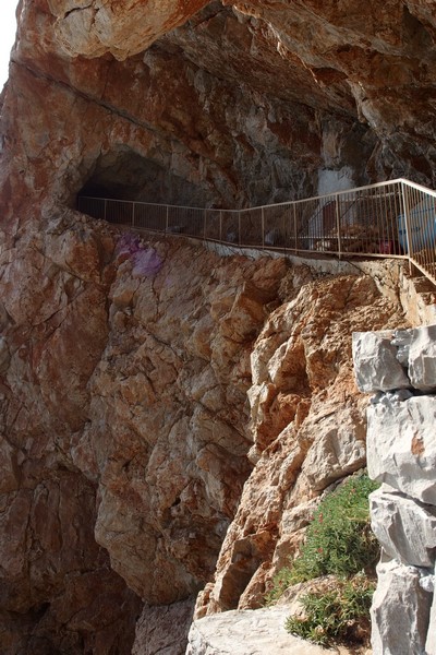 P9170381 (Kopiowanie).JPG