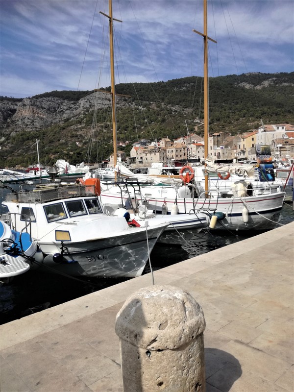 IMG_20200919_124506 (1).jpg