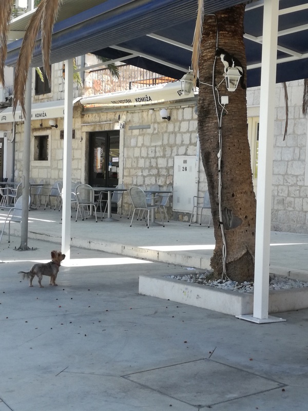 IMG_20200920_121855 (1).jpg