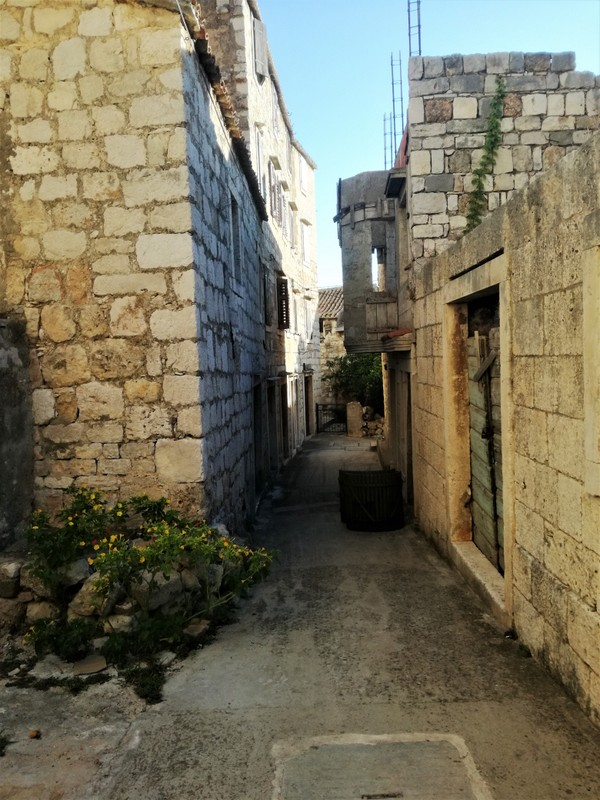 IMG_20200903_180303 — kopia.jpg