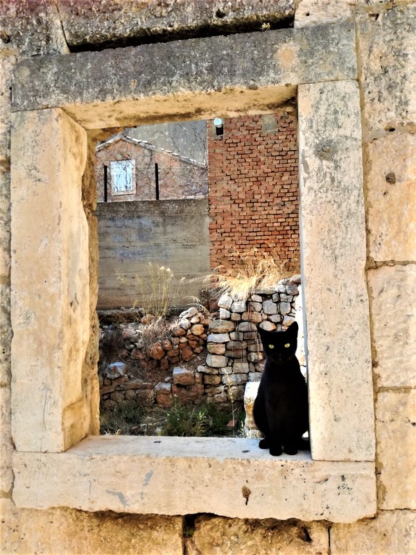 IMG_20200915_145335 (1).jpg