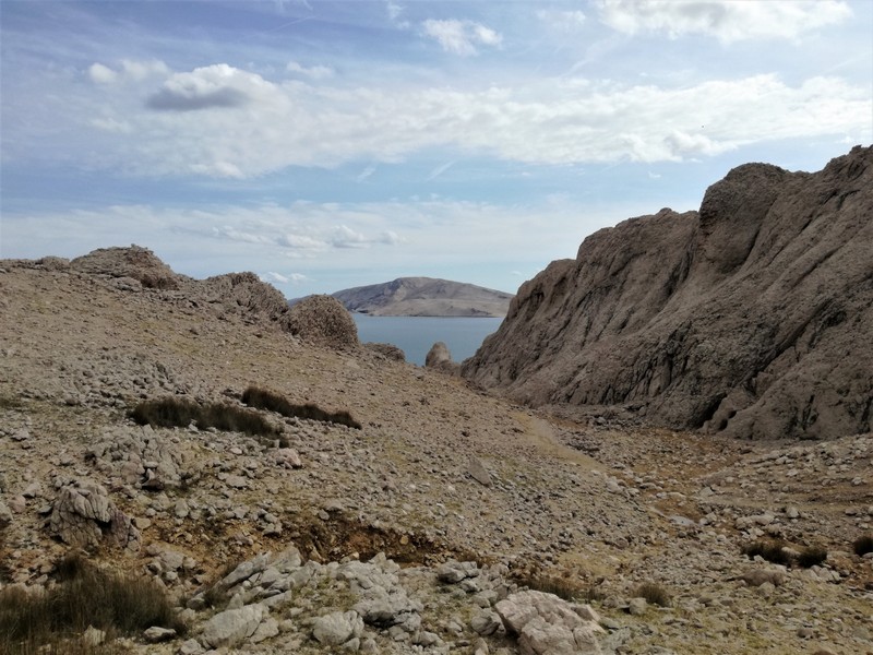 IMG_20190928_142010 (1).jpg