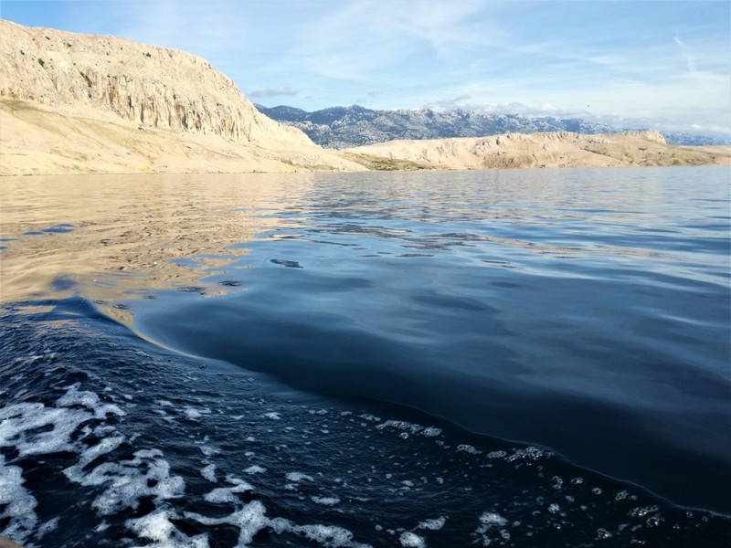 IMG_20190928_151045 (1).jpg