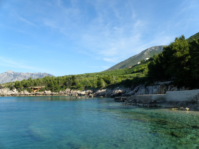 P7100954 (Custom).JPG