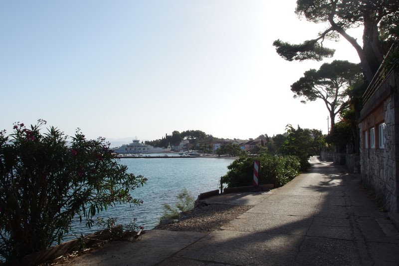 P9180425 (Kopiowanie).JPG