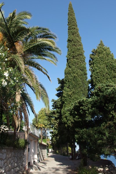 P9180426 (Kopiowanie).JPG