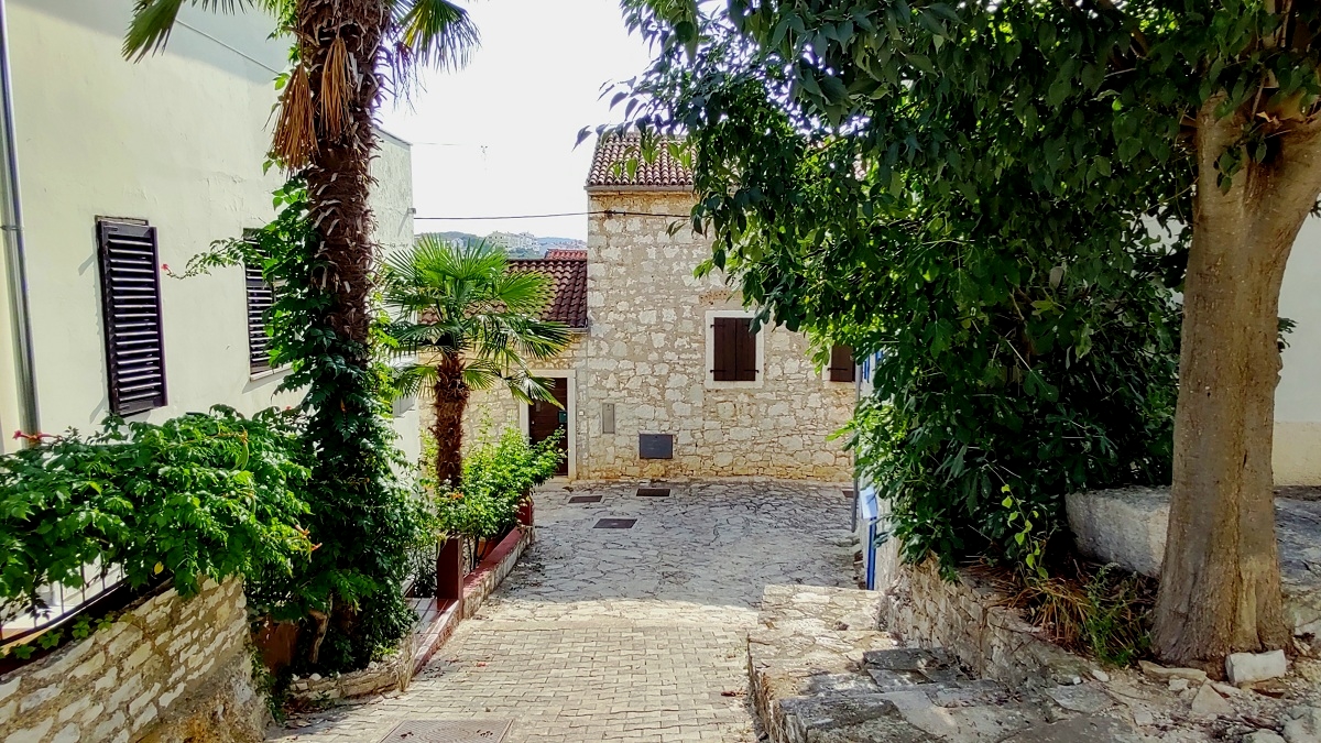 72.jpg