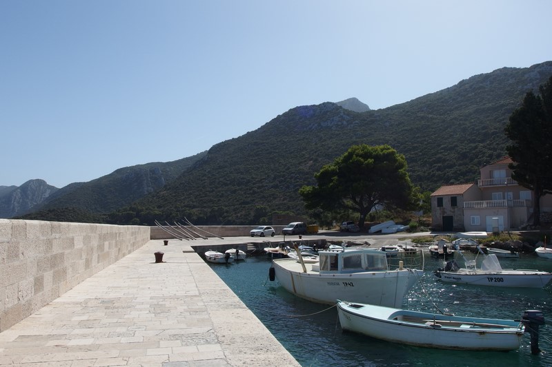 P9180484 (Kopiowanie).JPG