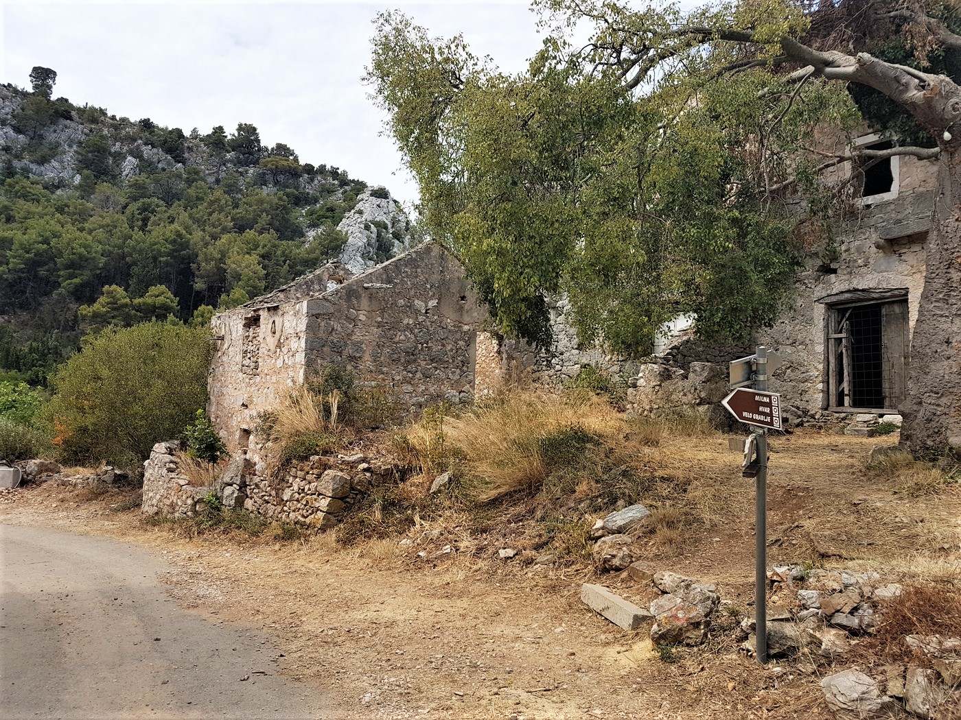 20200723_112406 (2).jpg