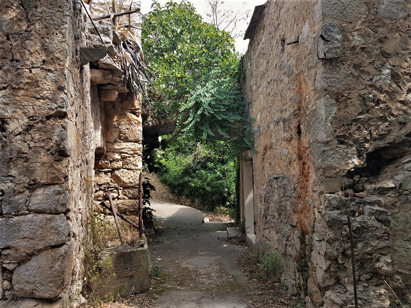 20200723_112740 (2).jpg