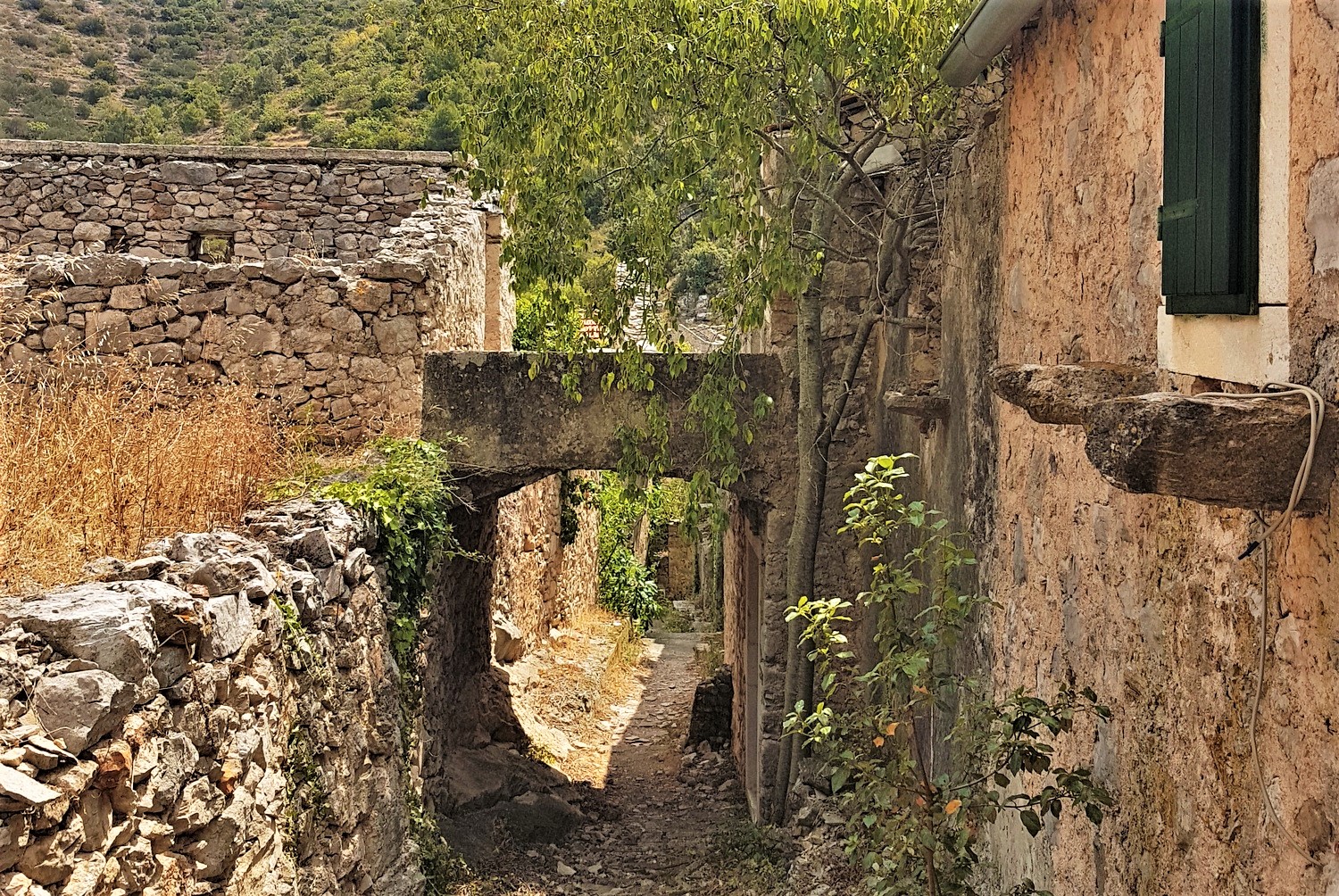 20200723_113414 (2).jpg