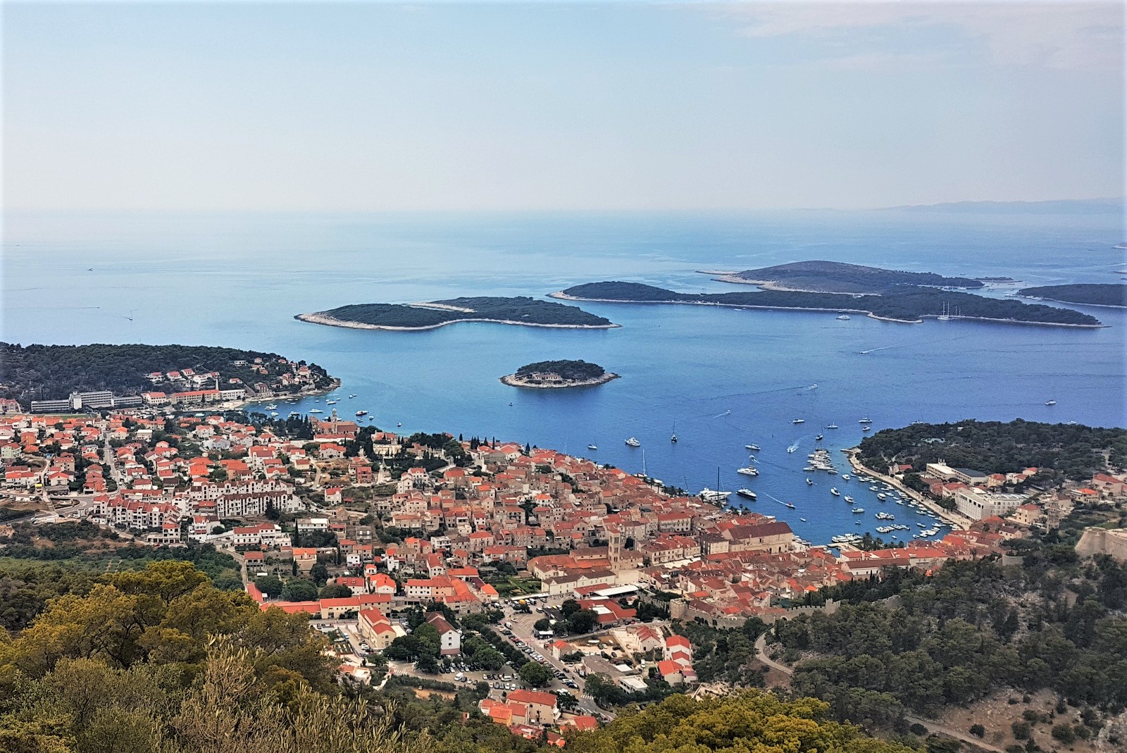 20200723_122318 (2).jpg