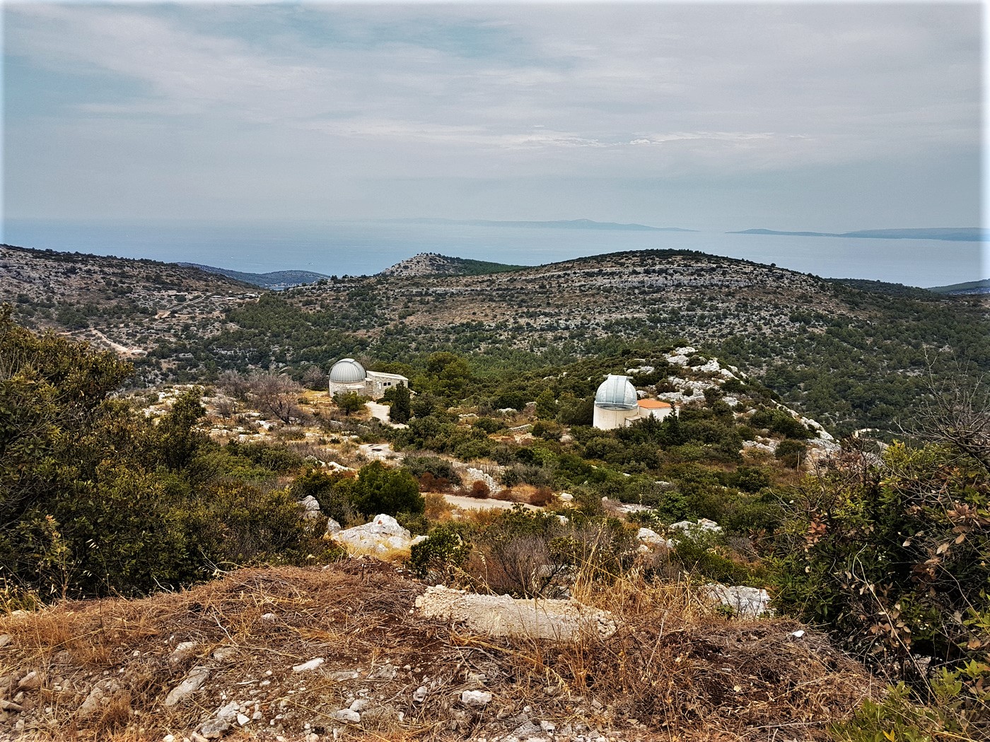 20200723_122602 (2).jpg