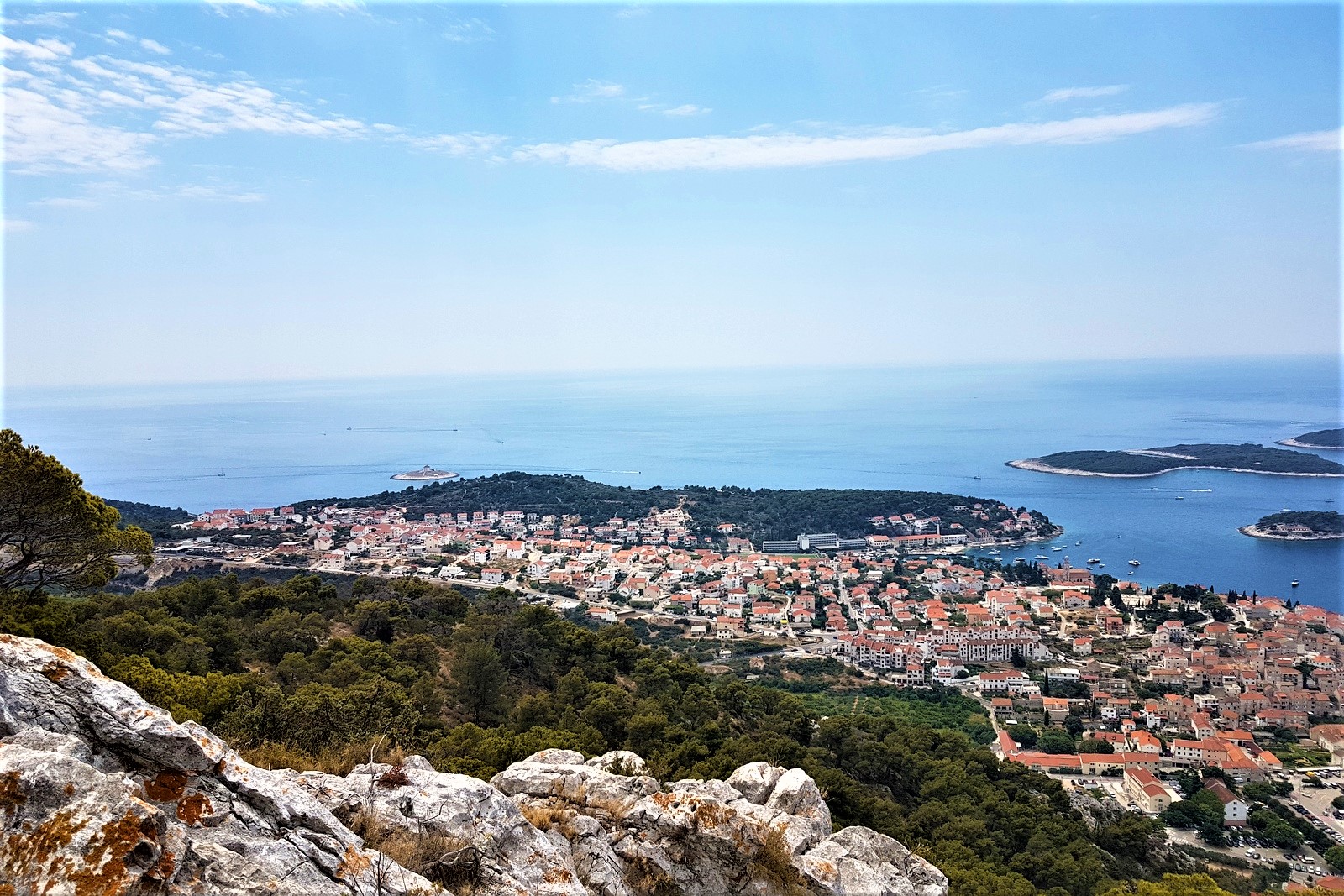 20200723_123035-001 (2).jpg