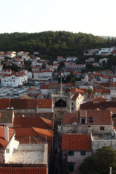 P9180580 (Kopiowanie).JPG